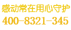 蜂巢保险柜